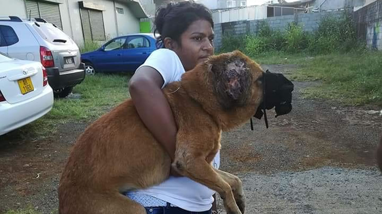 L'amour d'un chien, c'est ouf...