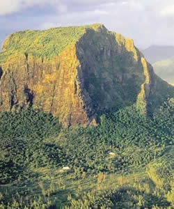 morne