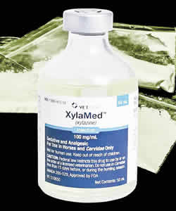 xylazine