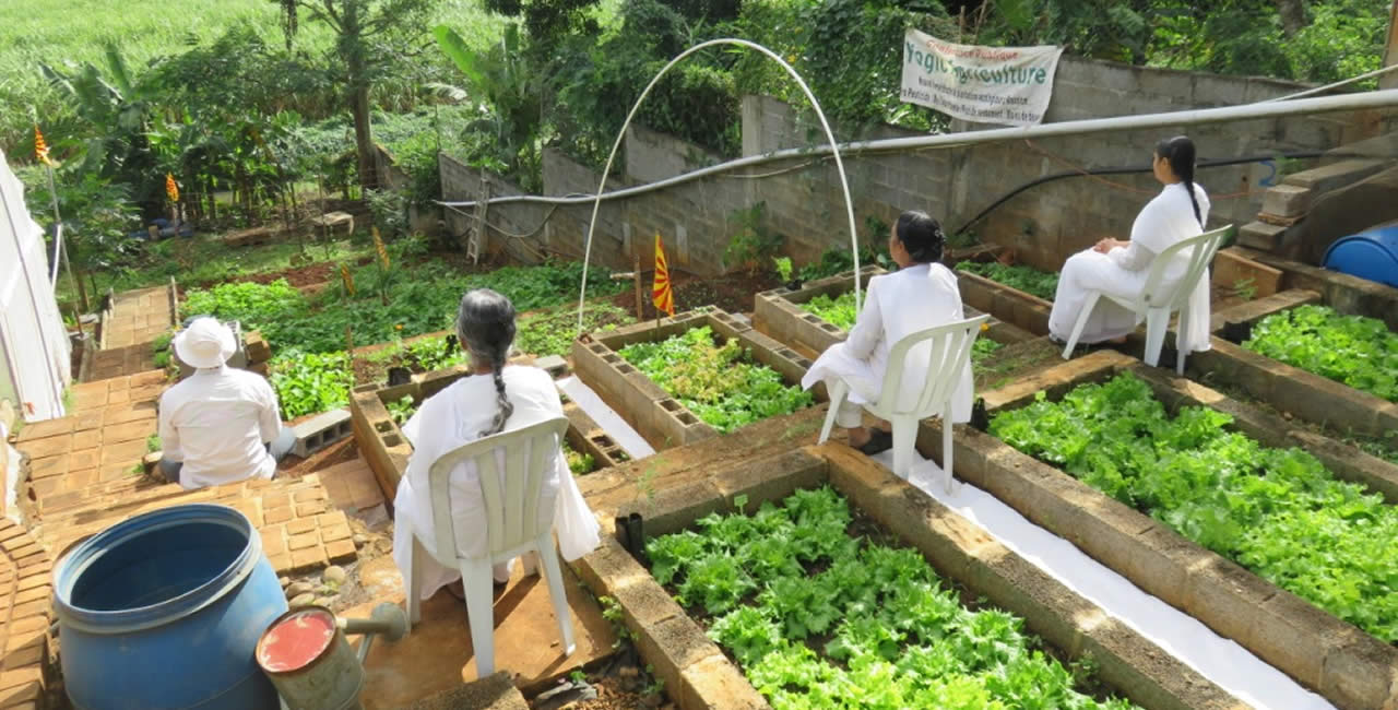 Yogic farm.