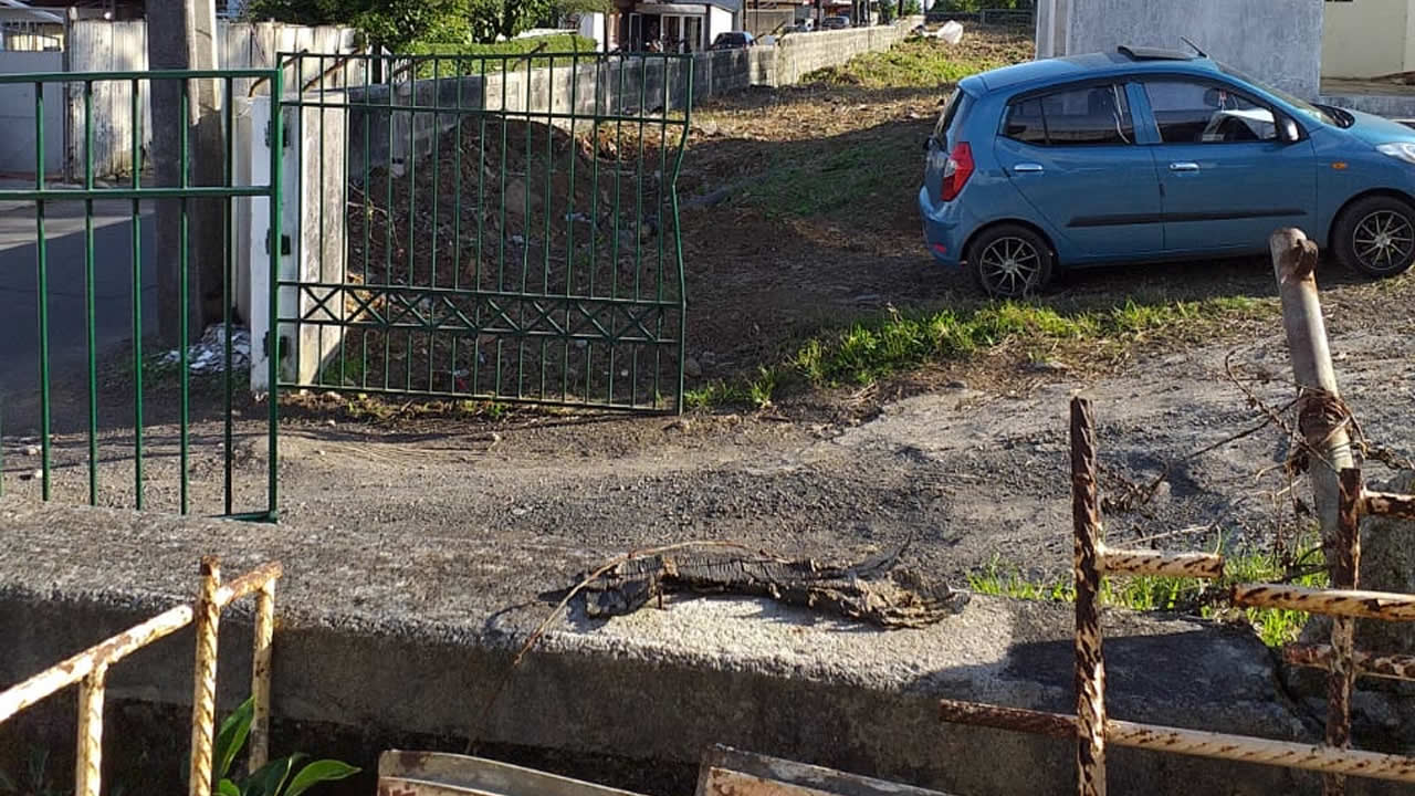 Le terrain de la CWA sur lequel se trouve un reservoir a été nettoyé.