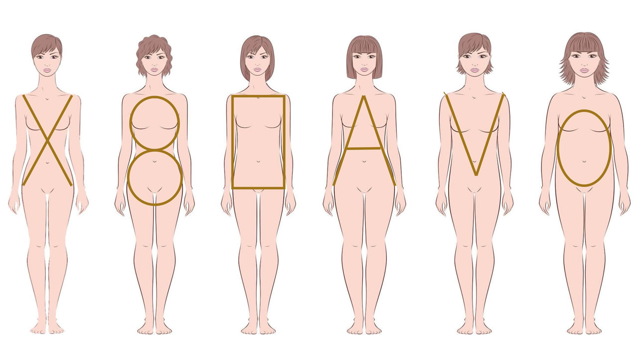 Les différentes lettres de morphologie chez la femme.