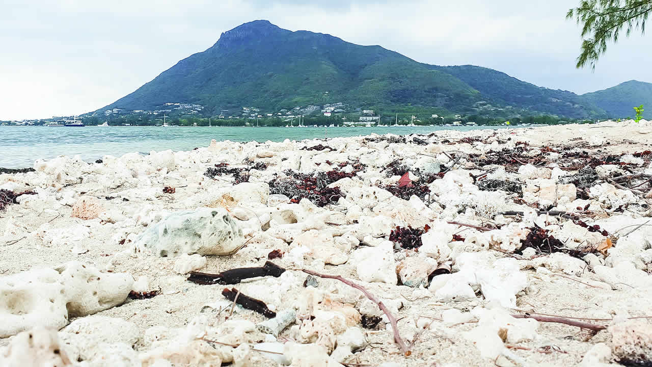 Les marais salants.