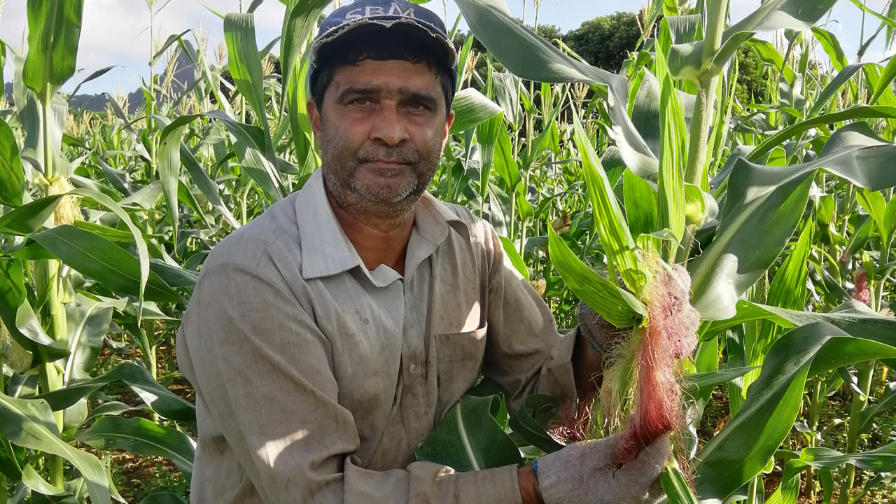 Jayram dans sa plantation.