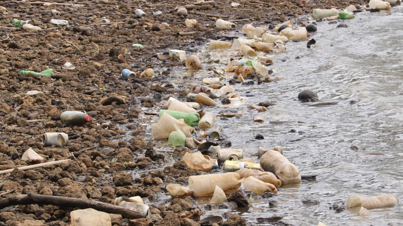 Des bouteilles en plastique et des canettes de boissons envahissent les lieux.