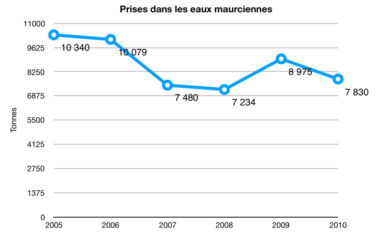 Les pêcheurs locaux s’inquiètent de la baisse dans la production