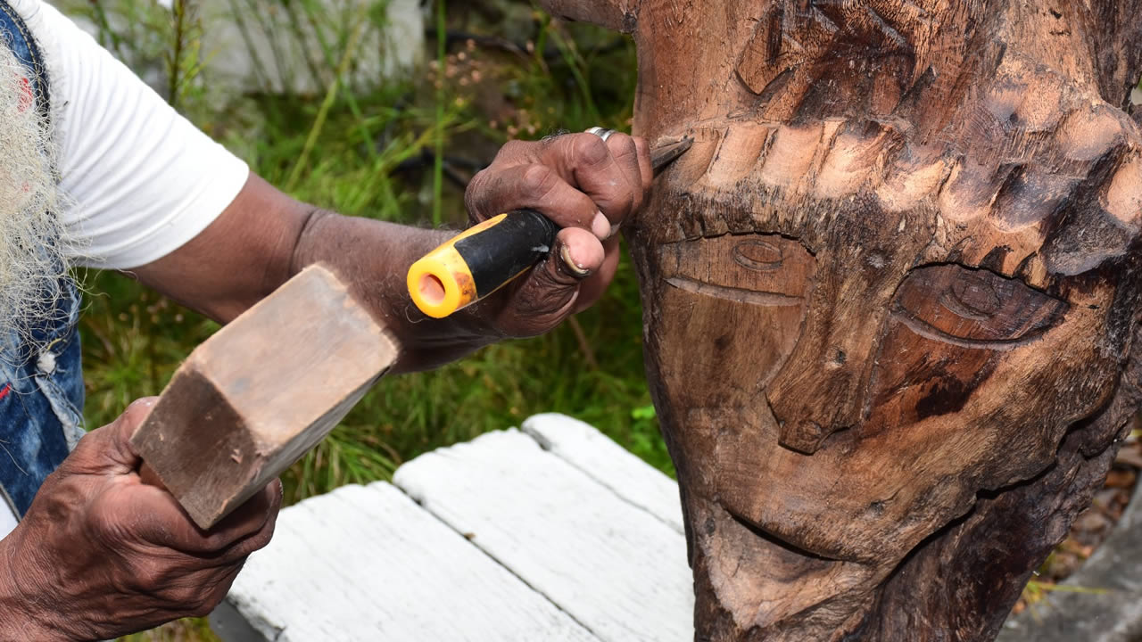 Pem : Un cœur qui bat pour le bois