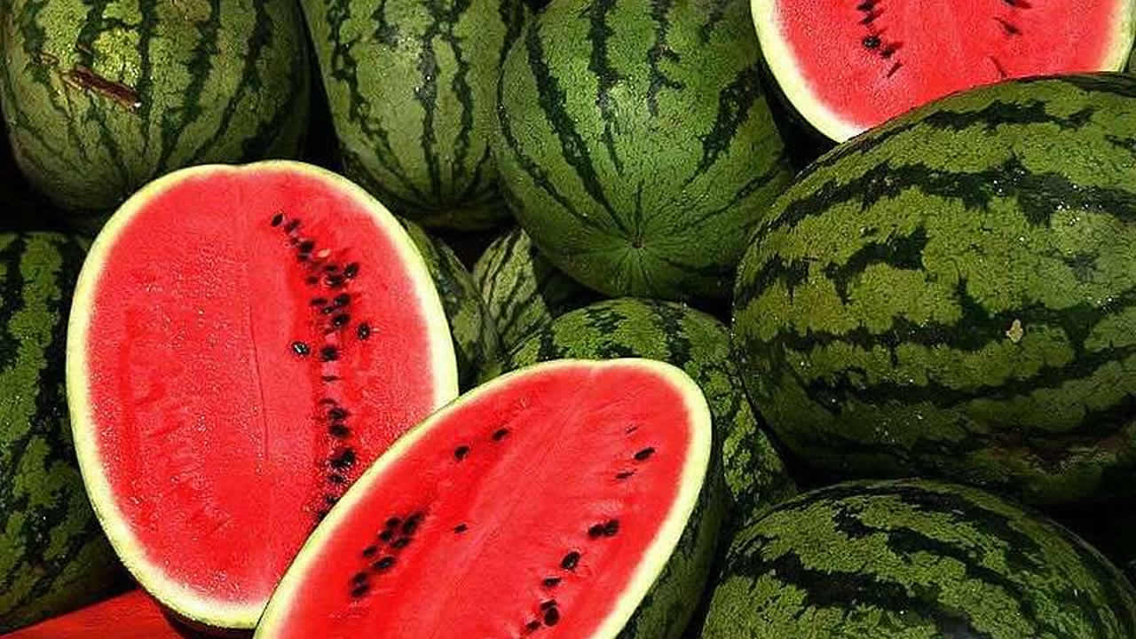 Melon