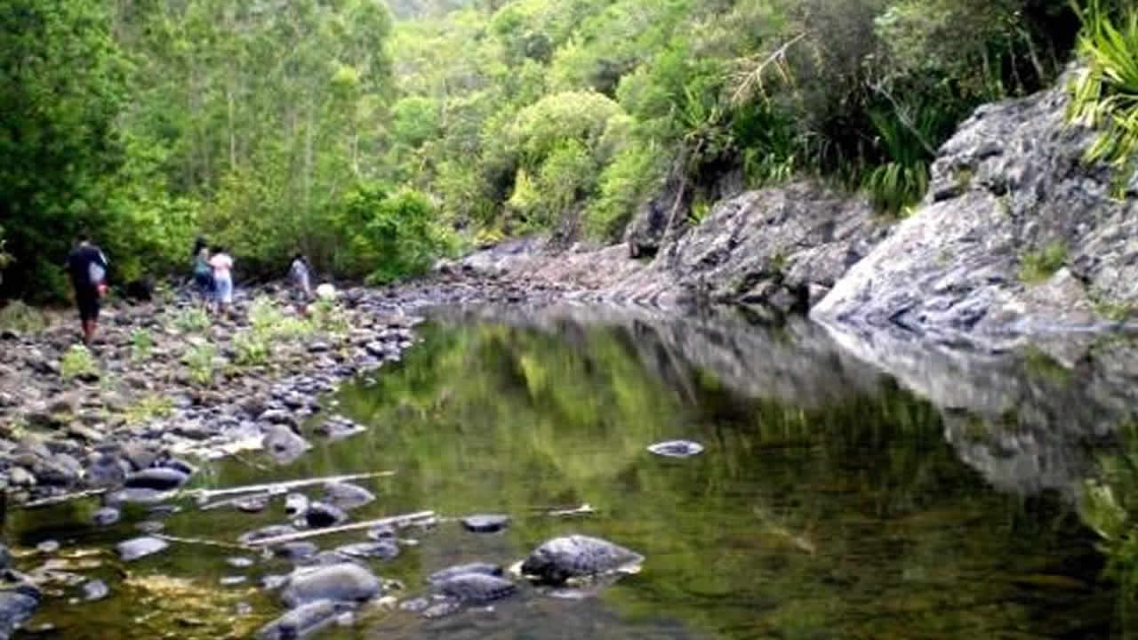 Hello Black River Gorges National Park