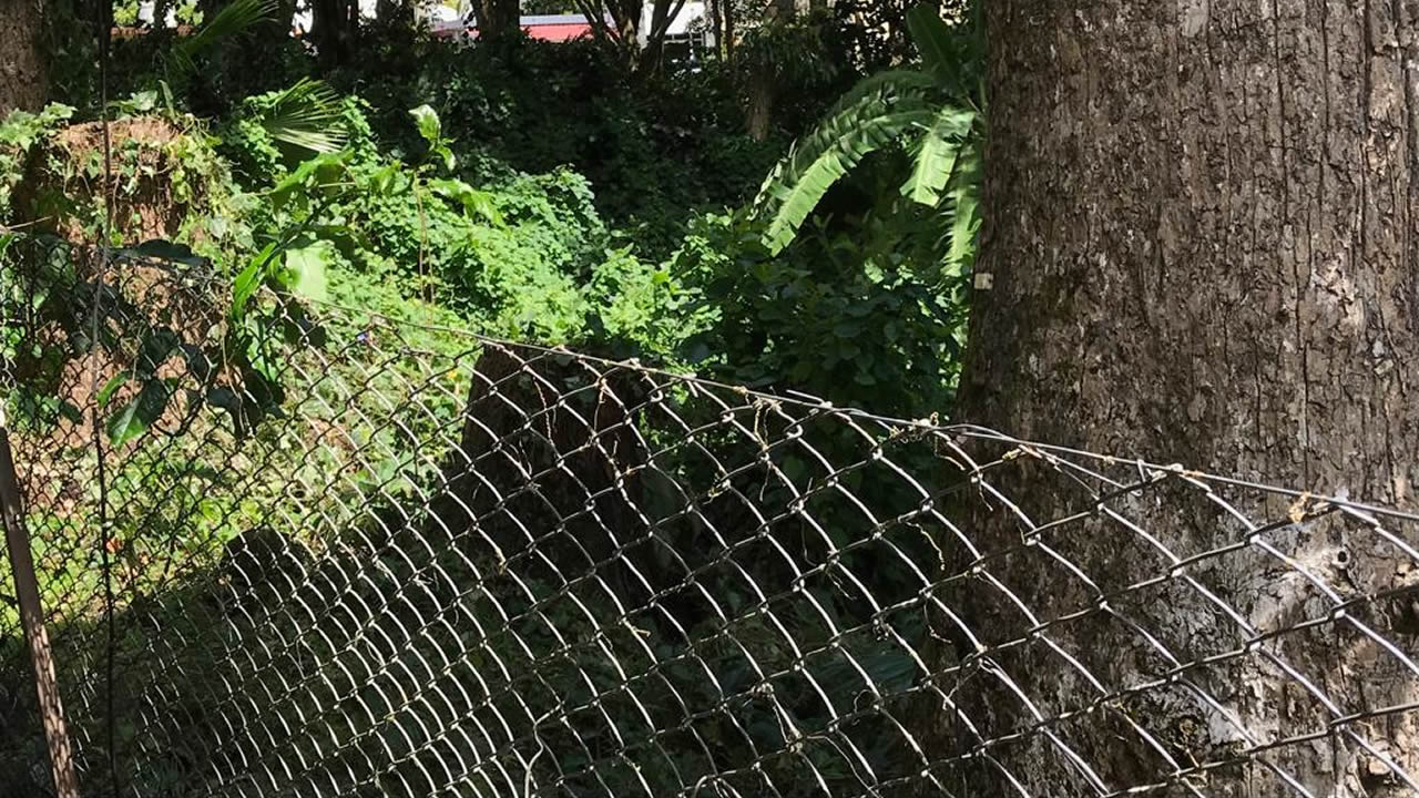 La grillle métallique empêchant l’accès à la rivière.