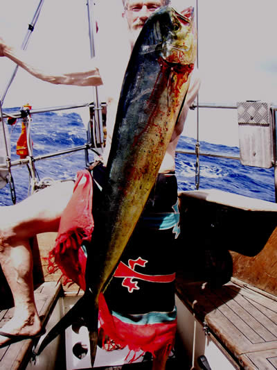 First catch after the storm and reaching warm waters between Alaska and Hawai.