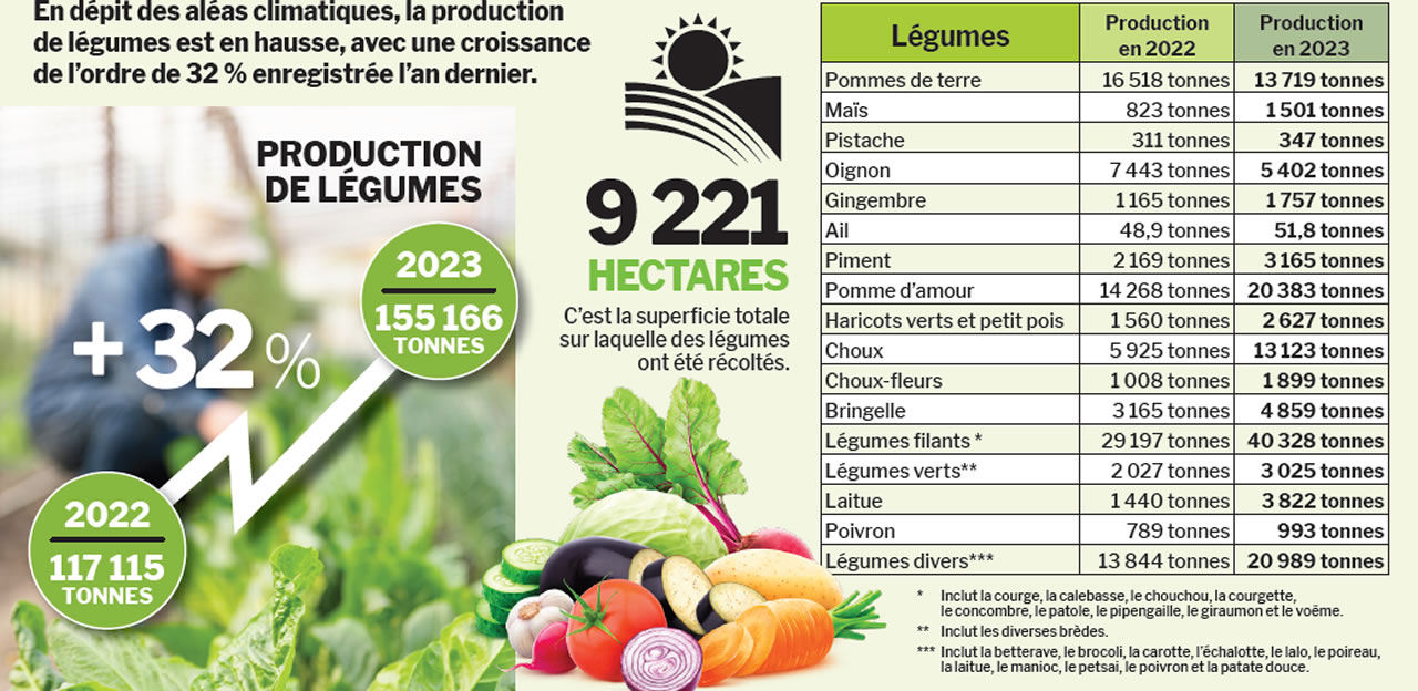 Legumes