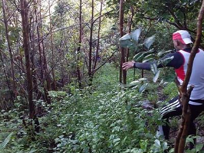 Le trail permet de découvrir de nouveaux paysages.