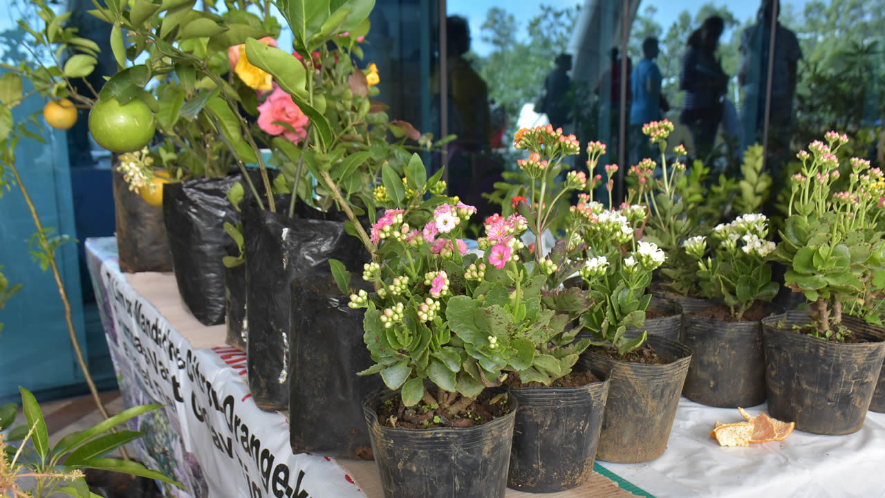 Salon du Déstockage