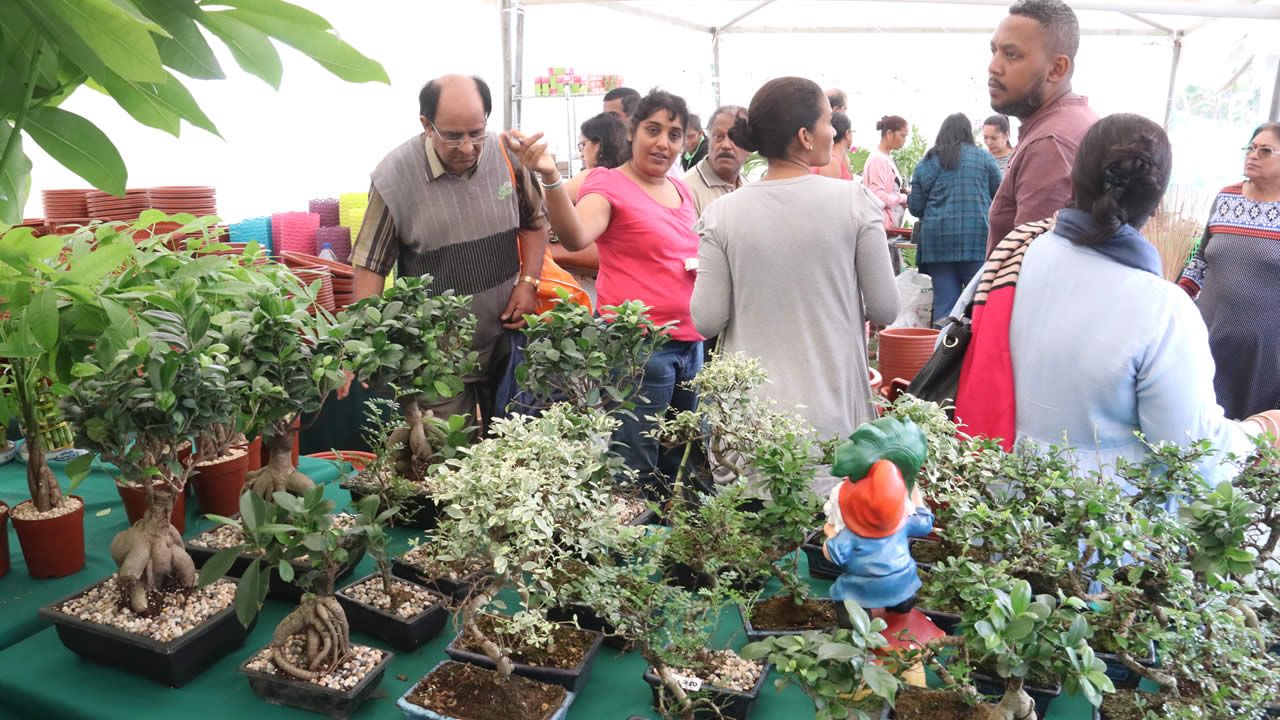 Salon du destockage