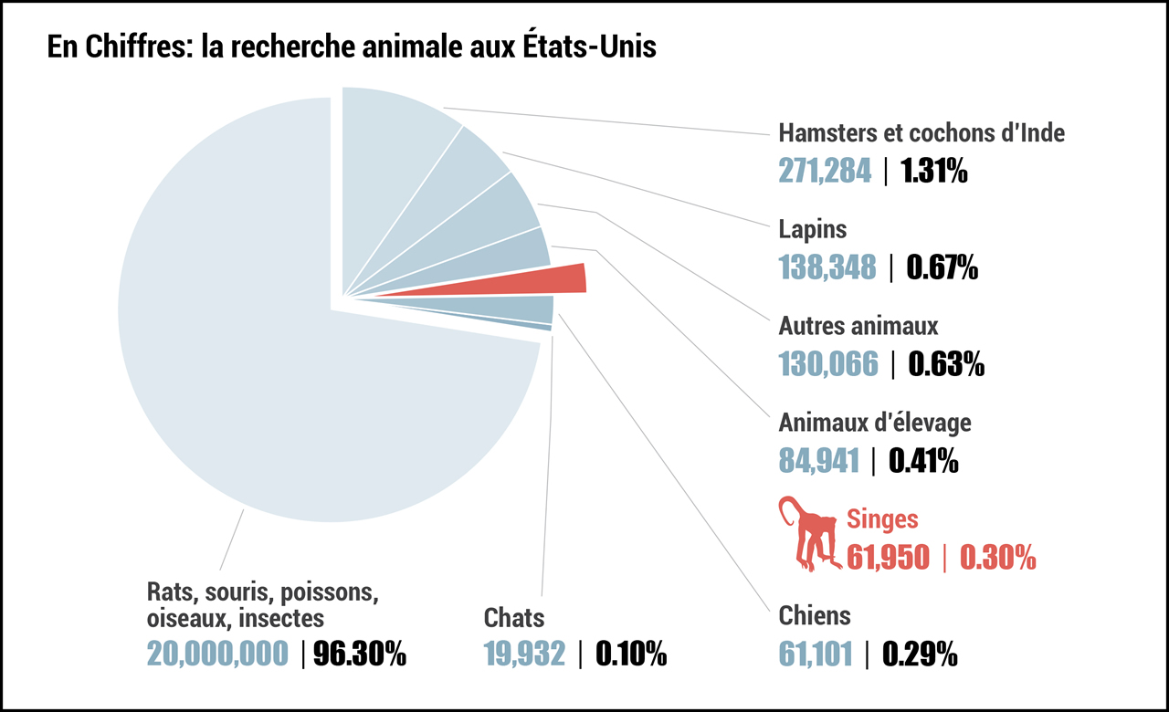 Cyno Breeders Association