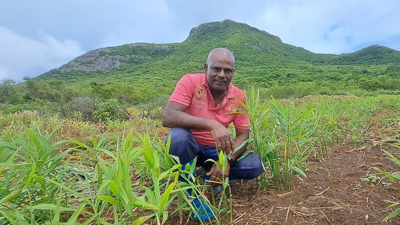 Ajay Aumeerun, planteur à La Laura.