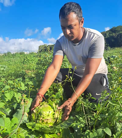 Bimal cultive des légumes à Bassin.