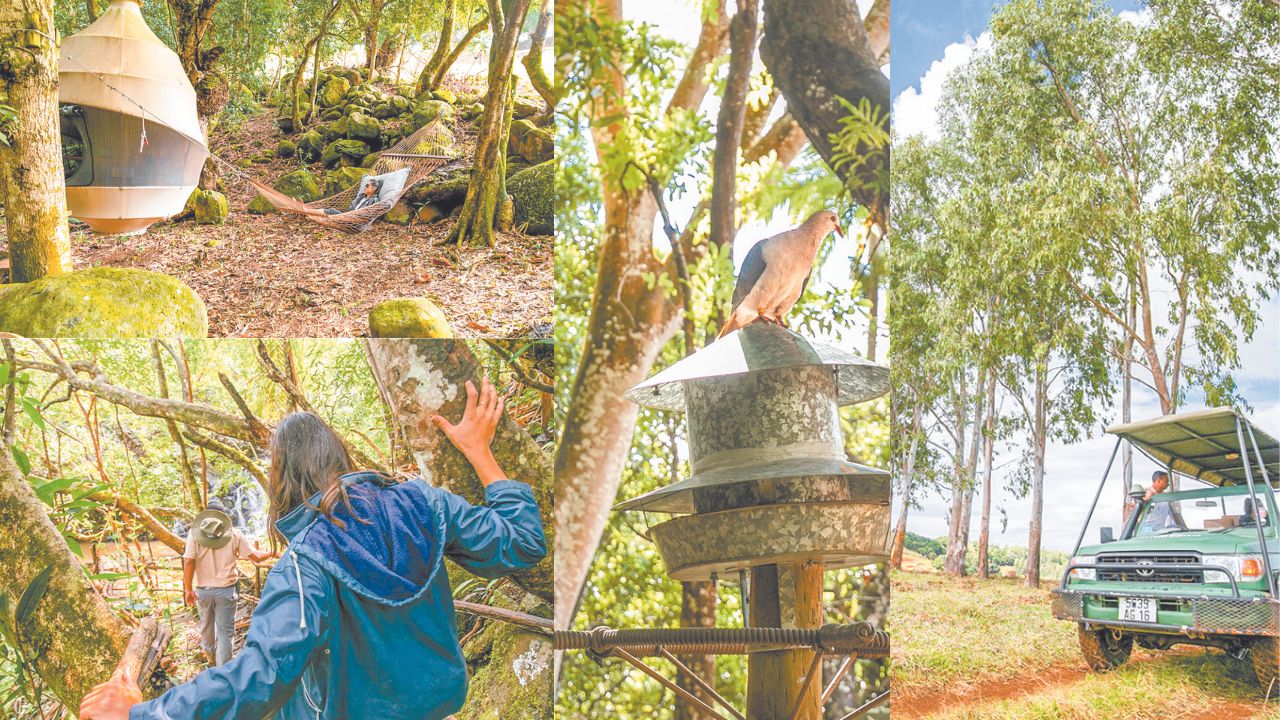 Cette région, qui attire de nombreux visiteurs, est réputée pour ses paysages époustouflants et sa riche biodiversité.