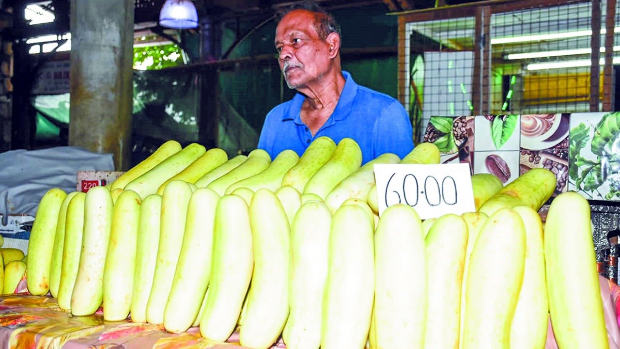 Les concombres sont actuellement disponibles sur le marché.