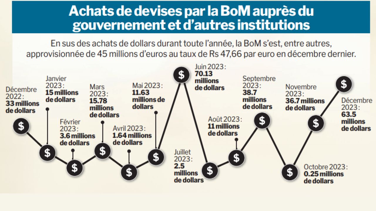 Infographie