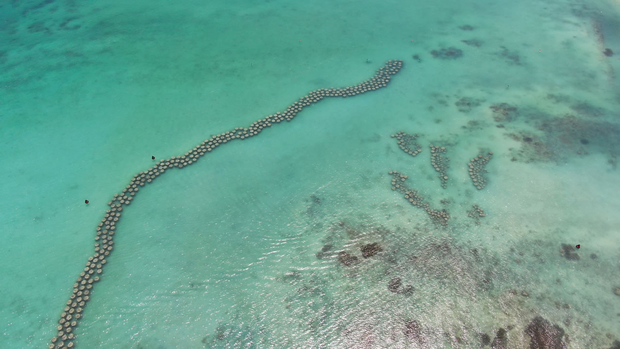 Des récifs artificiels ont été installés dans lagon de Mon Choisy. 