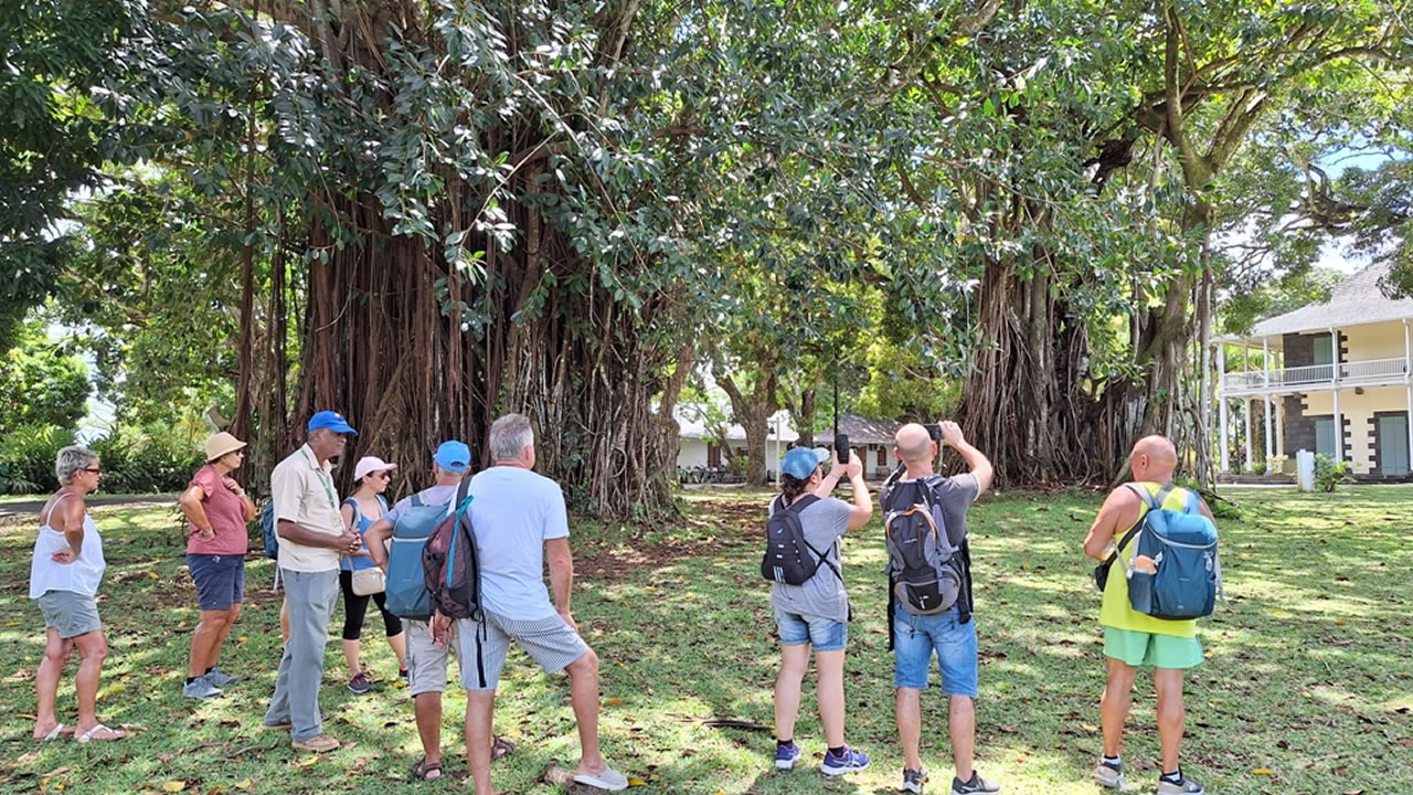 Sans le recours à un guide, le jardin est qualifié de « sans grand intérêt », de par le manque de panneaux explicatifs.