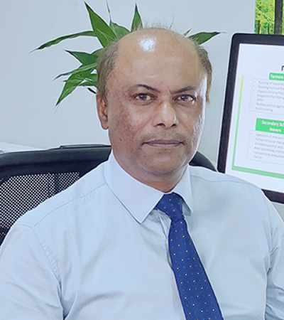 Professor Theesan Bahorun