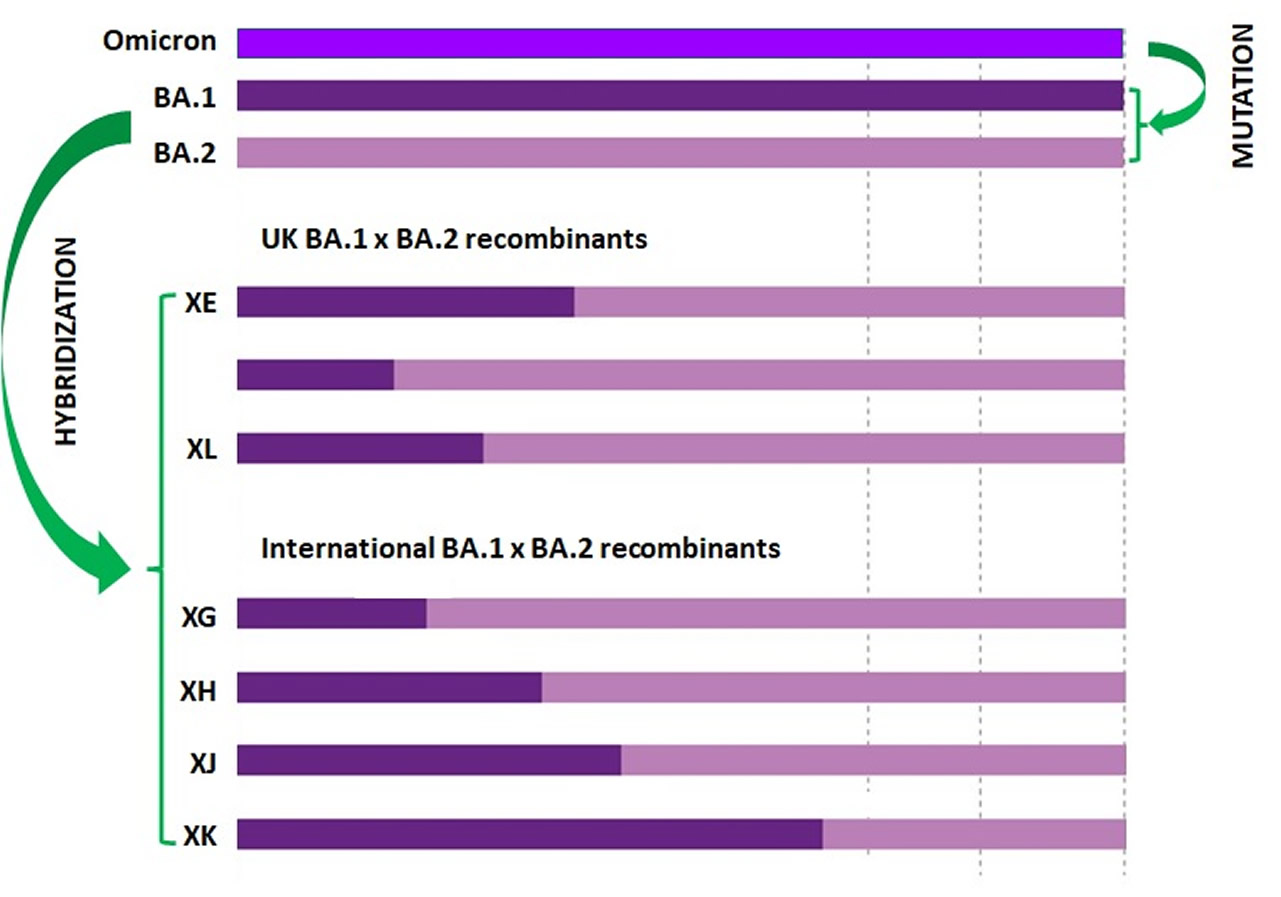 Des mutations impossibles à prévoir