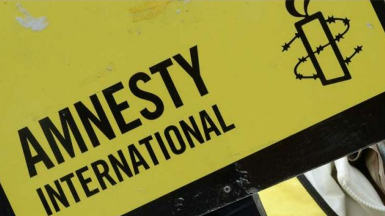 Amnesty international