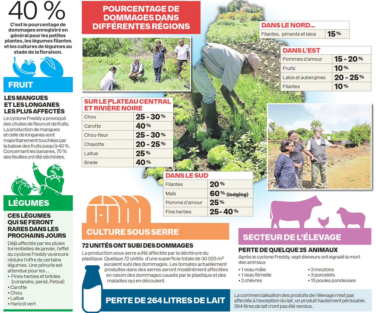 infographie-legumes.