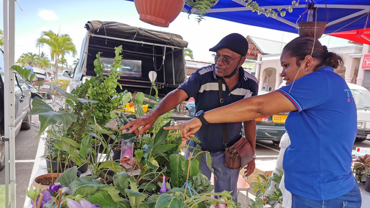 journée de la santé, du bien-être et de l'écologie 2020 ventes de plantes