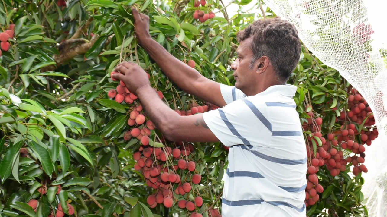 Sanjiv Rajputh est dans le domaine depuis 16 ans. 