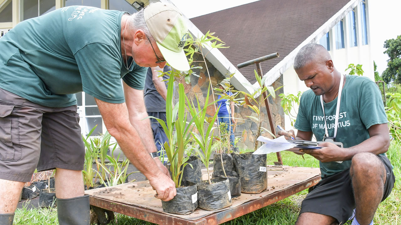 Jean-Paul De Chazal (à g.) et Pascal Laroulette, respectivement directeur et coordinateur de l’ONG AEP, classant les plantes.