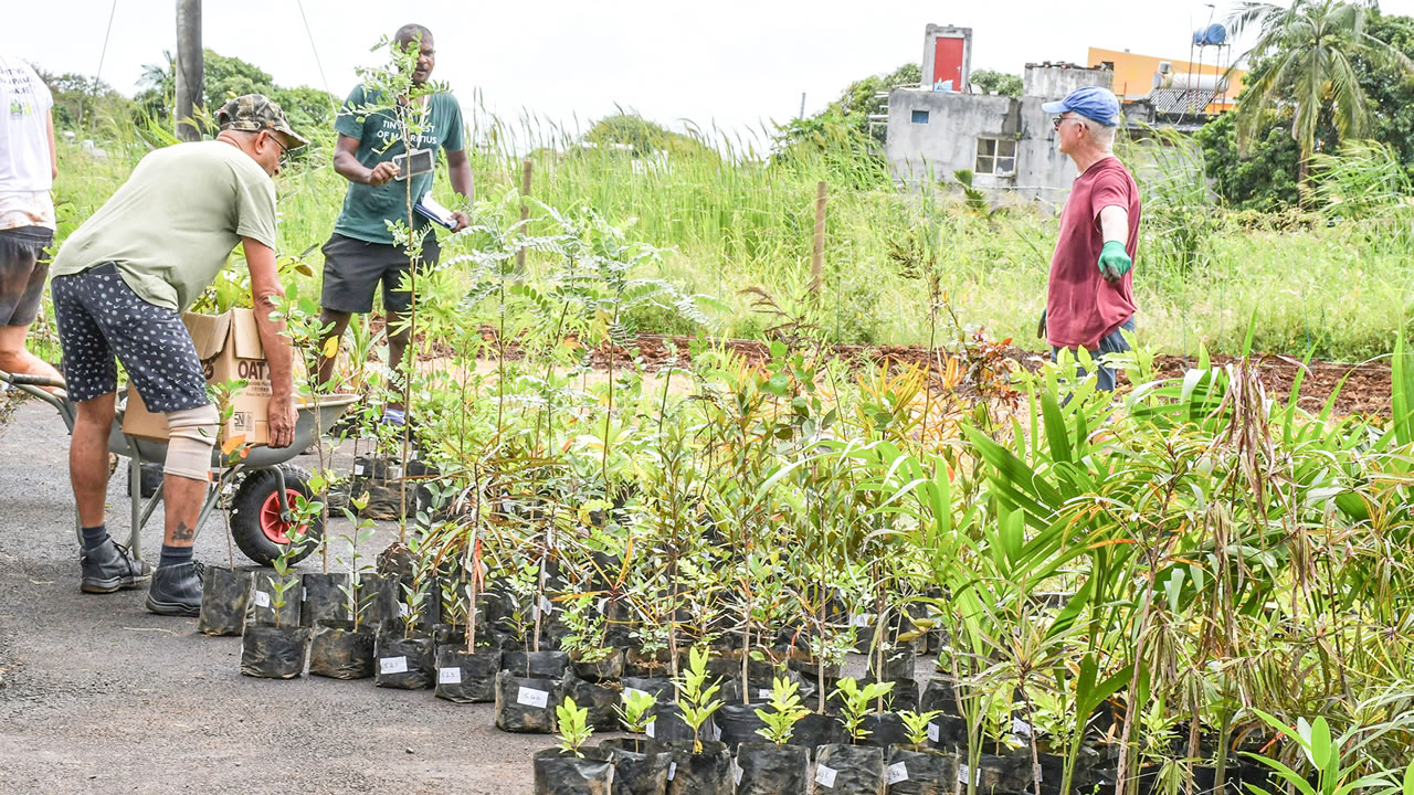 Chaque mètre carré accueille trois plantes endémiques. Les consignes sont données en ce sens.