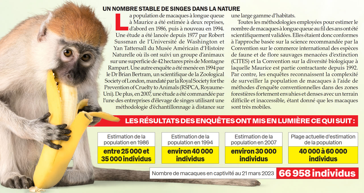 singe-info